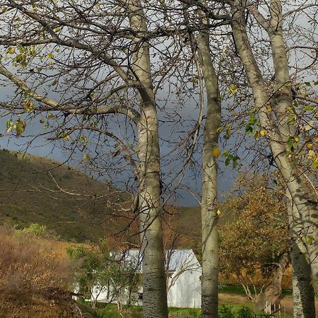 Sonklip&De Kleine Hoop Hotel Stellenbosch Buitenkant foto