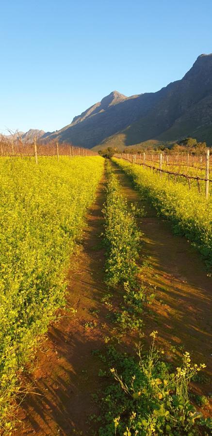 Sonklip&De Kleine Hoop Hotel Stellenbosch Buitenkant foto
