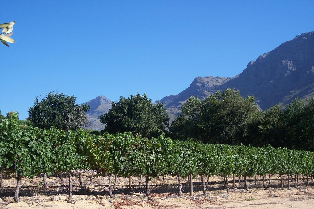 Sonklip&De Kleine Hoop Hotel Stellenbosch Buitenkant foto