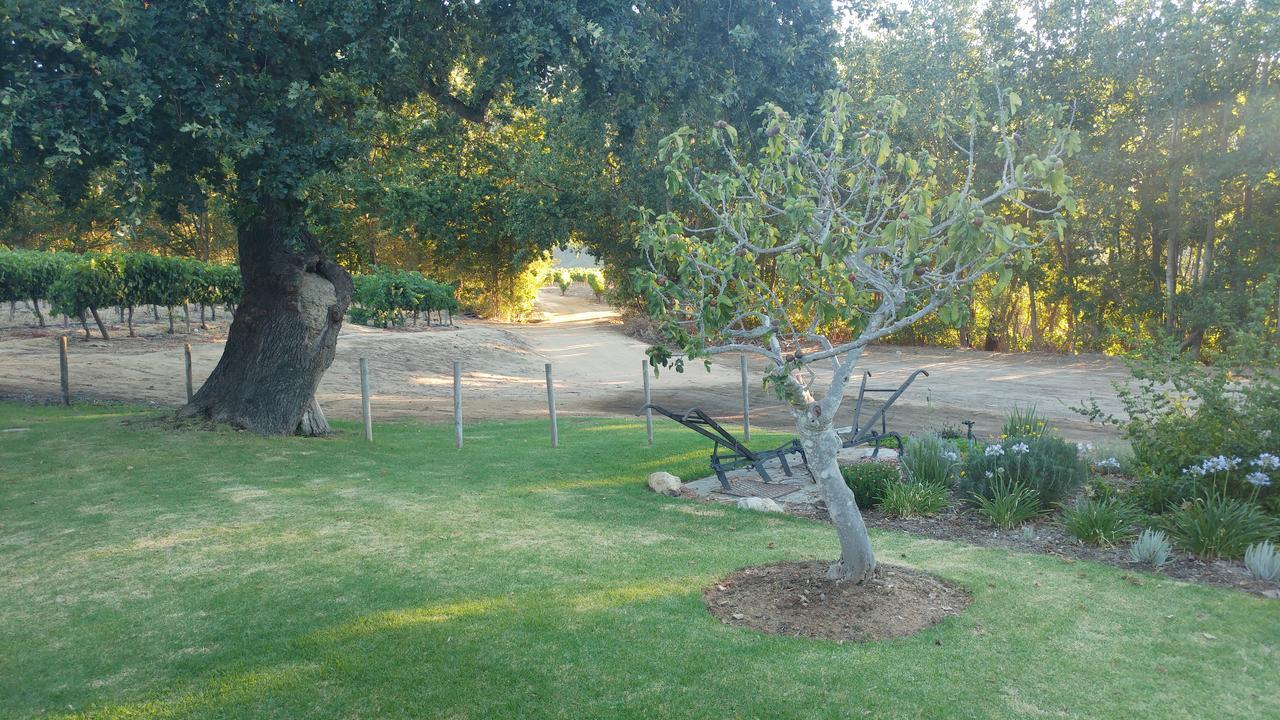 Sonklip&De Kleine Hoop Hotel Stellenbosch Buitenkant foto