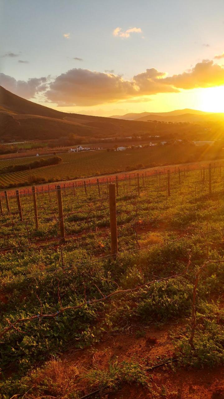 Sonklip&De Kleine Hoop Hotel Stellenbosch Buitenkant foto