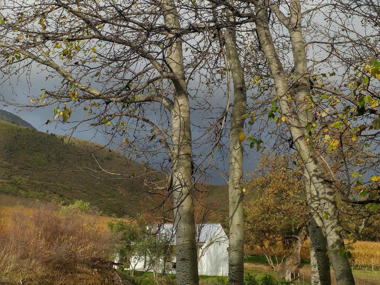 Sonklip&De Kleine Hoop Hotel Stellenbosch Buitenkant foto